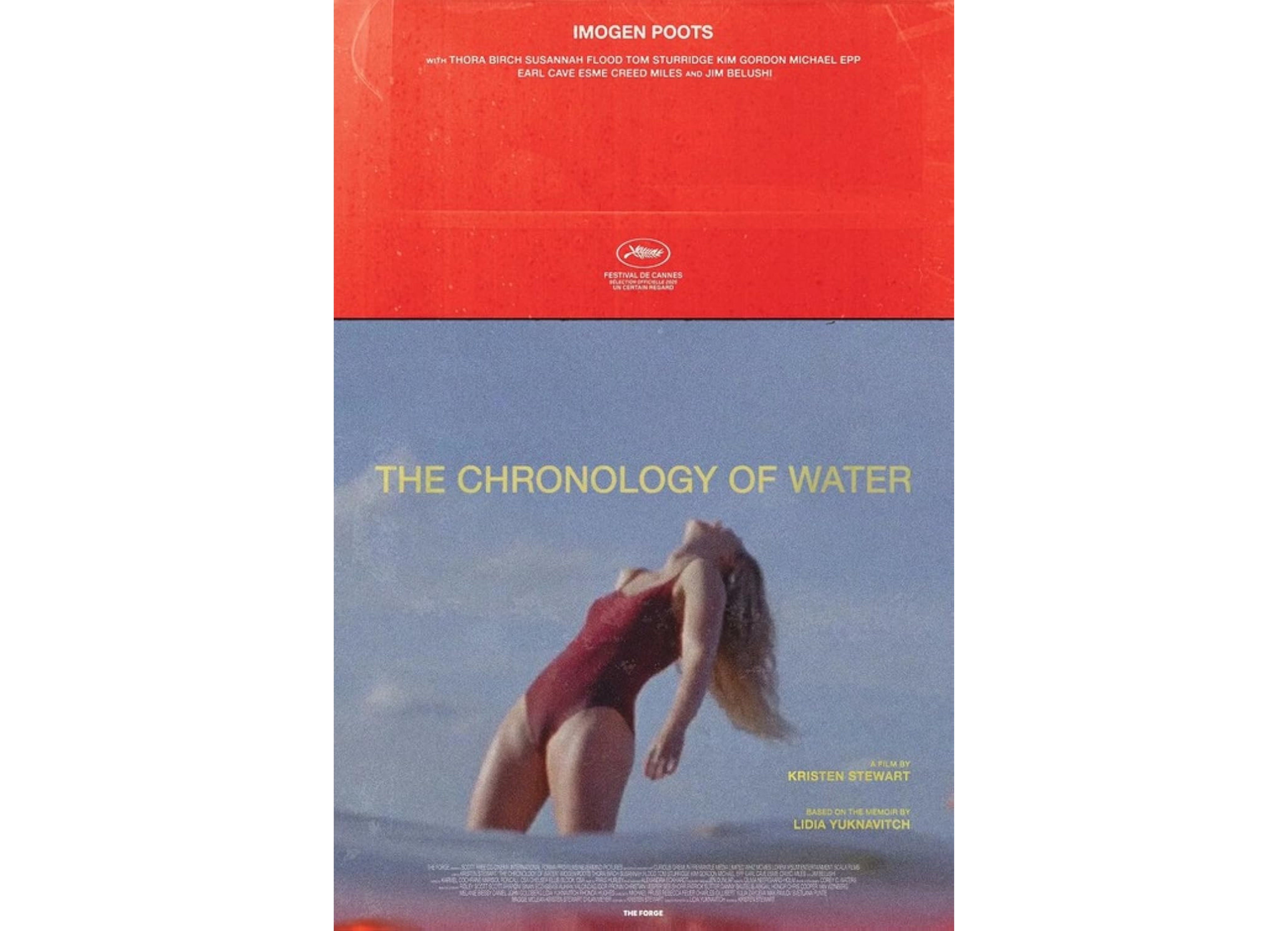 The Chronology of Water (18)